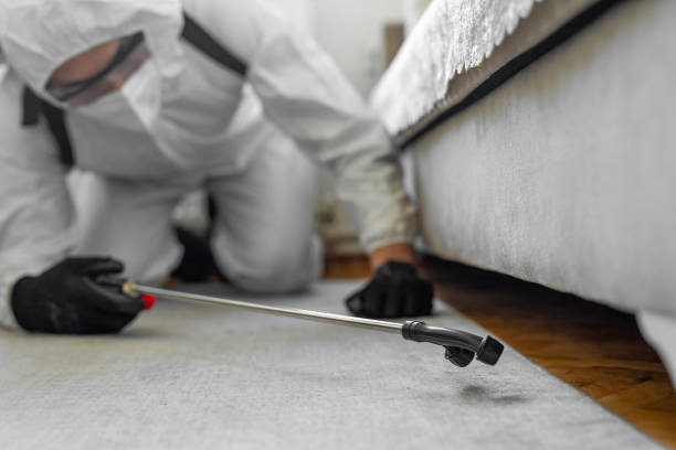 Professional Termite Control technician working in Pardeeville, WI