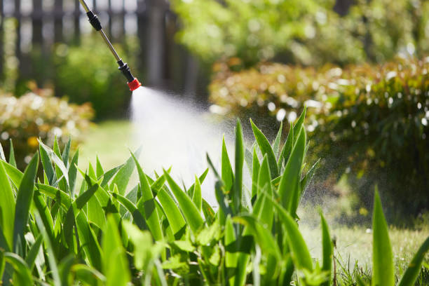 24/7 Emergency Termite Control experts in Pardeeville, WI