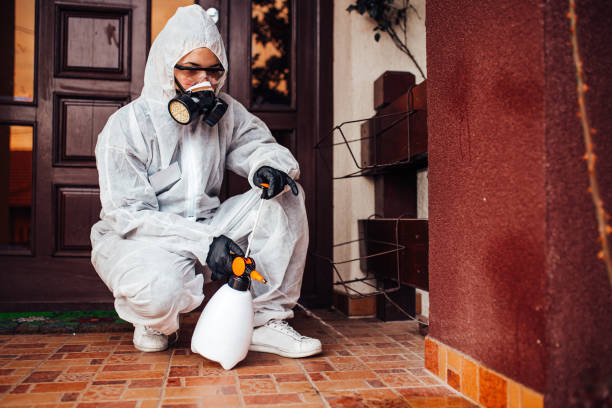 Reliable Termite Control contractor in Pardeeville, WI by Nex Pest Control
