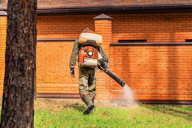 Top rated local Termite Control specialists in Pardeeville, WI